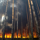 Image for article titled Breathtaking and Horrifying Images of Nature's Destructive Power